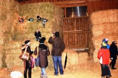 Viehberg-Waldweihnacht-2019-0210