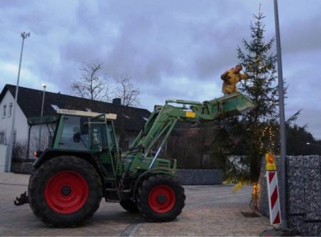 Fleißige Helfer haben einen Baum aufgestellt und viele Lichter angebracht.