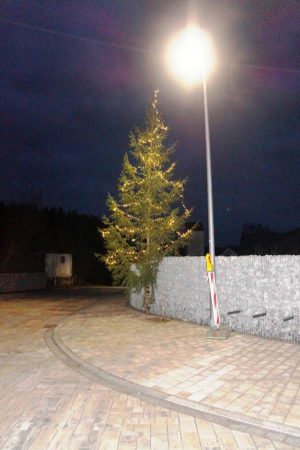 Der erste Viehberger Weihnachtsbaum sieht gut aus an der Gartenmauer. Wenn demnächst noch das „Holzbankerl“ installiert wird und nächstes Jahr die bereits gepflanzten Kletterpflanzen sich um die Steine winden, dann wird die Steinmauer noch schöner.