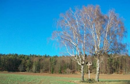 … Zwischen Götzendorf und Hermannsberg. Eine Gegend wo andere Urlaub machen!