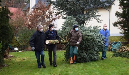 Ein schöner Baum. Gespendet von Joe und Doris Schmidt.