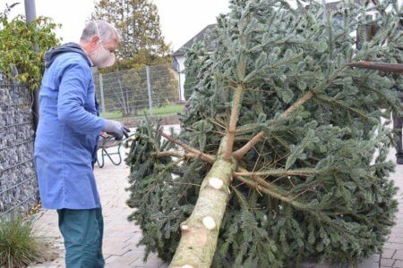 Irgendwie müssen wir den Baum anbinden?