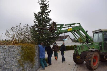 Schweres Gerät von Conny, viele erfahrene Baumaufsteller und schon steht der Viehberger Weihnachtsbaum. Danke an alle Helfer.